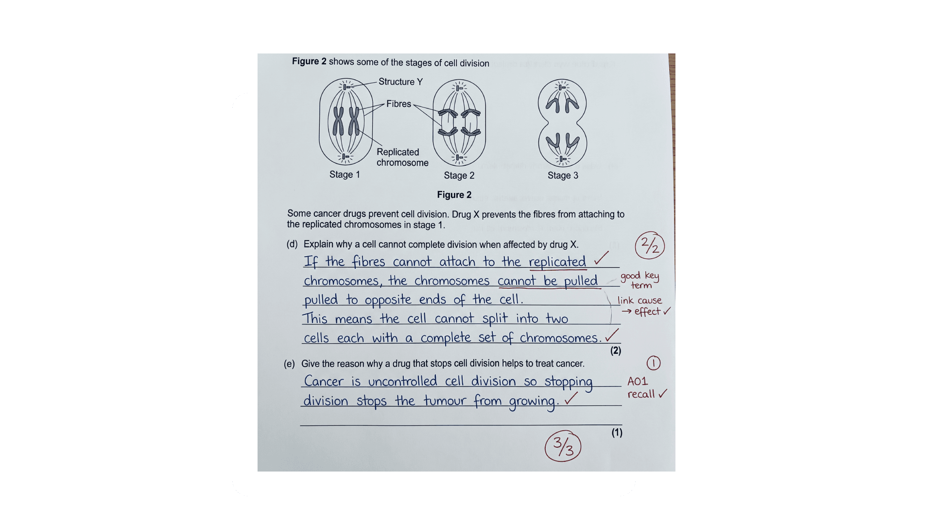 A GCSE exam answer marked with examiner annotations